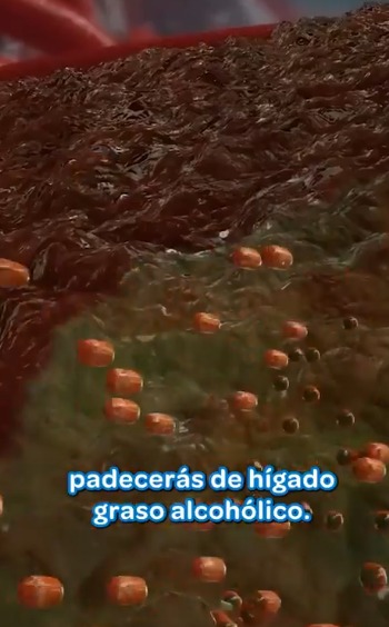 🍺 El alcohol puede ser más peligroso de lo que imaginas (video)