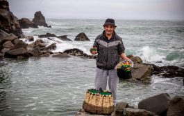 ¡Hoy se celebra el Día del Pescador! 🎣