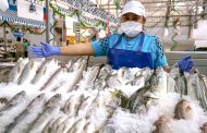 Semana Santa: Cómo elegir un pescado fresco de calidad 🎣