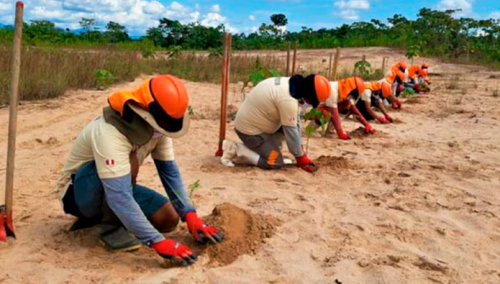 Con estas acciones puedes ayudar en la lucha contra la desertificación y la sequía 🌱