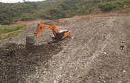 Tres millones de hectáreas renovables para 2032 exigirán recuperar tierras degradadas 🔍