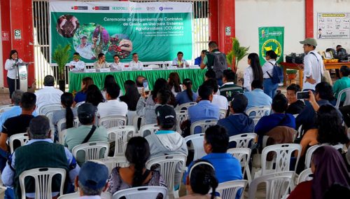 Más de 6670 hectáreas de bosque en cuatro regiones están conservadas gracias a prácticas agroforestales sostenibles 🌱