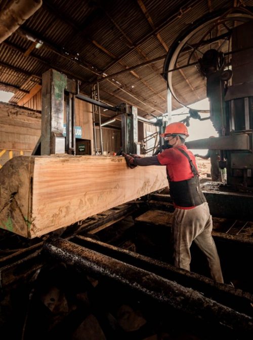 ¡Por un Perú con madera legal!🌳