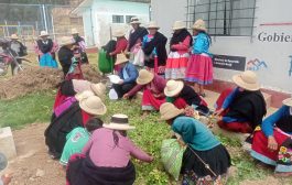 ¡La riqueza del Perú nace en nuestras manos! 🥔🌱