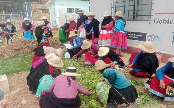 ¡La riqueza del Perú nace en nuestras manos! 🥔🌱