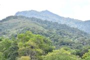 ¡Impulsan la recuperación de 437 hectáreas de tierras dañadas en nueve regiones del país! 🌱