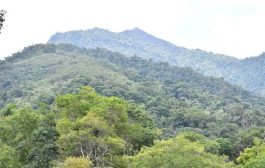 ¡Impulsan la recuperación de 437 hectáreas de tierras dañadas en nueve regiones del país! 🌱