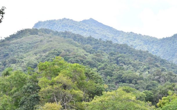 ¡Impulsan la recuperación de 437 hectáreas de tierras dañadas en nueve regiones del país! 🌱