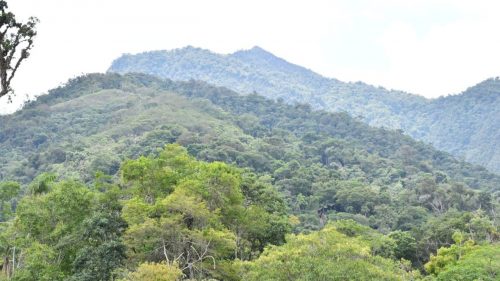 Concesiones mineras: Una amenaza real para el agua, los bosques y la seguridad social de nuestras familias rurales