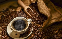 Nace MUPECO la primera cafetera artesanal del Perú hecha 100% a mano por artesanos locales ☕️🏺