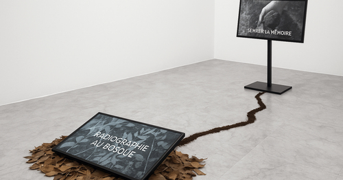 CORTE TRANSVERSAL 2.0: Del mundo analógico al digital 🖥️