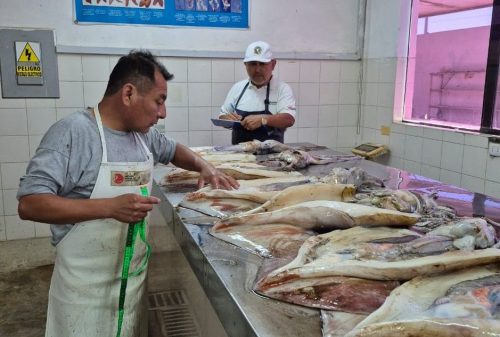 Exportaciones pesqueras para consumo humano directo crecen 125.1% en enero 🚣