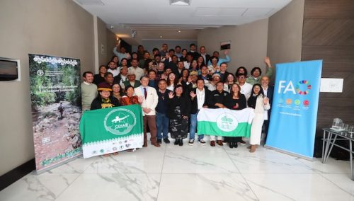 Organizaciones indígenas fortalecen su gestión para acceder a financiamiento climático   🌳