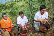 ¡Hoy es el Día del café peruano! ☕