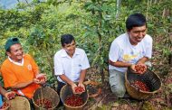 ¡Hoy es el Día del café peruano! ☕