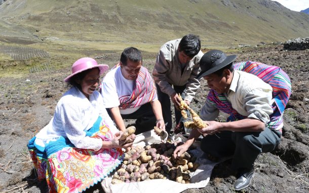 Proyectan más de 2 millones de hectáreas de siembra impulsadas por maíz, papa y frijol 🥔