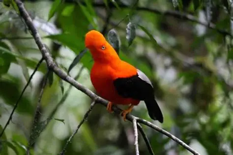 ¿De paseo por #Tarapoto? ✈️