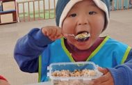 Anemia y desnutrición infantil