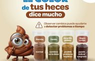 🚽 ¿Miras antes de jalar la cadena? 👀
