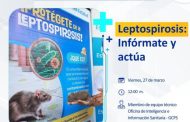¡Alerta por leptospirosis! 🚨