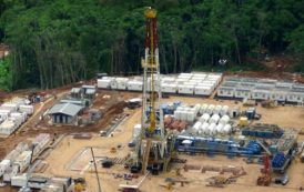 “El gas es nuestro