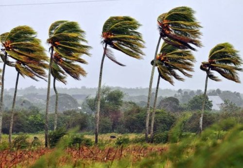 El 19 de mayo se presentará el incremento de la velocidad del viento en la costa 🌪️