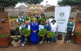 Vecinos y adultos mayores cosechan sus propios alimentos en San Isidro 🌿
