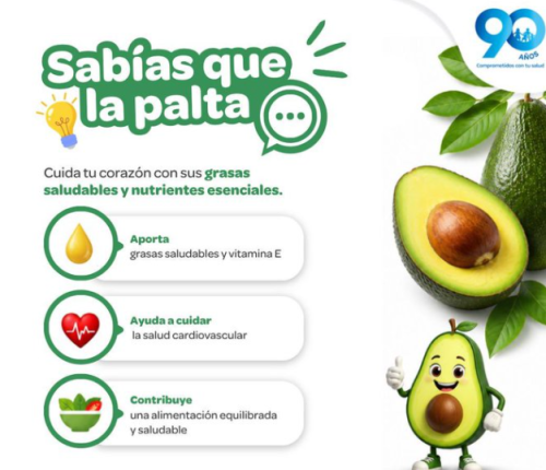 La palta es un alimento rico en grasas saludables y vitamina E🥑