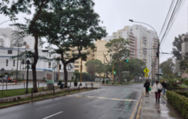 Durante la noche, la madrugada y las primeras horas entre el 7 y 8 de agosto se presentarán nieblas y lloviznas aisladas en Lima🌦️