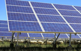 La financiación estatal impulsa el avance industrial de la energía de fusión y las tecnologías verdes en España 🌱