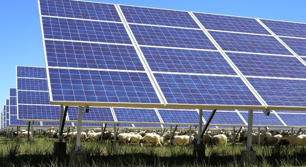 La financiación estatal impulsa el avance industrial de la energía de fusión y las tecnologías verdes en España 🌱