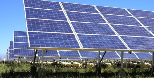 La financiación estatal impulsa el avance industrial de la energía de fusión y las tecnologías verdes en España 🌱