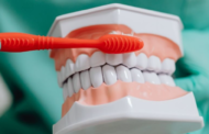🪥 Cambiar tu cepillo dental cada 3 meses es fundamental para mantener una buena higiene bucal