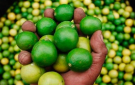 Piura le puso más limón al Perú 🍋‍🟩