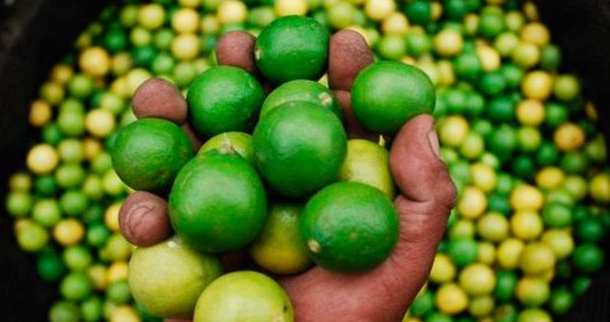 Piura le puso más limón al Perú 🍋‍🟩