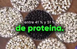 ¡Hoy es el Día Nacional del Tarwi! 🫘