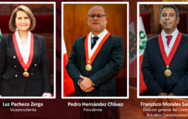 Magistrado Pedro Hernández Chávez fue elegido como nuevo presidente del Tribunal Constitucional 👨‍⚖️