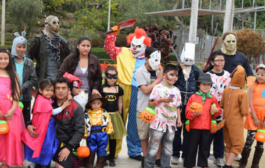 ¿Comprarás disfraces o entradas para Halloween? Cuidado con estas estafas 🎃