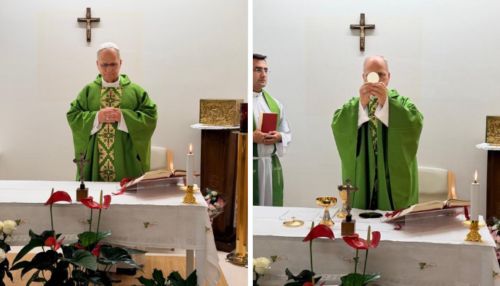 ¡En franca recuperación nuestro Papa Leon XIV!🕊️