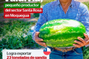 ¡La sandía moqueguana cruza fronteras! 🍉