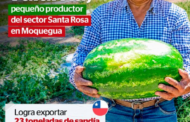 ¡La sandía moqueguana cruza fronteras! 🍉