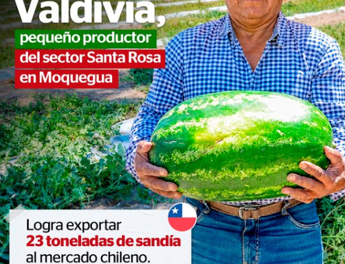 ¡La sandía moqueguana cruza fronteras! 🍉